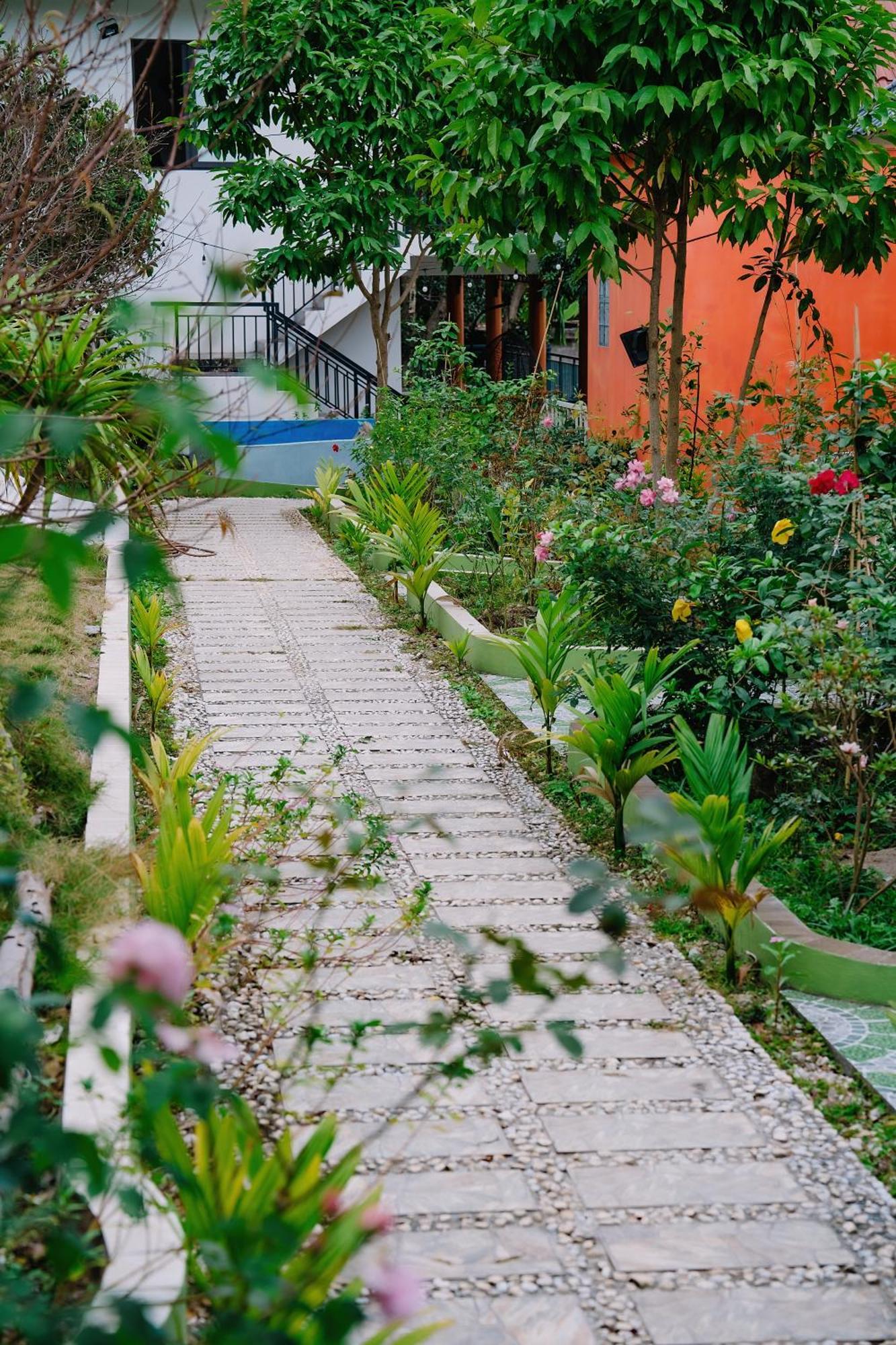 Windy Homestay Cat Ba Island Exterior foto